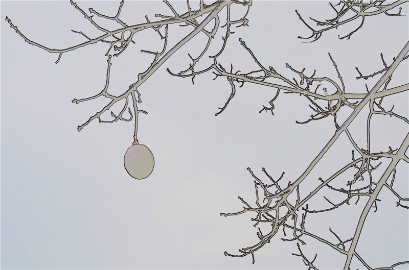 1433993171276909.jpg 1433993171276909.jpg