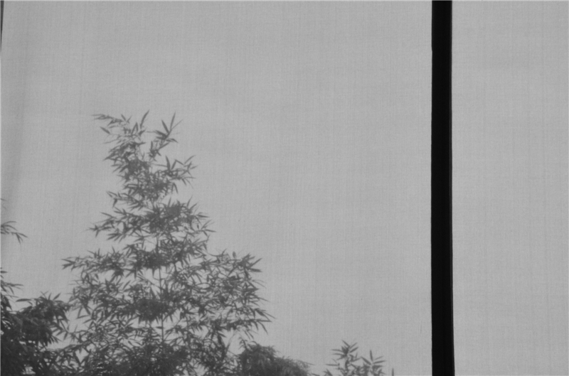 1433993175372741.jpg 1433993175372741.jpg